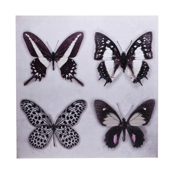 Obraz Ewax Black Butterflies, 60 × 60 cm