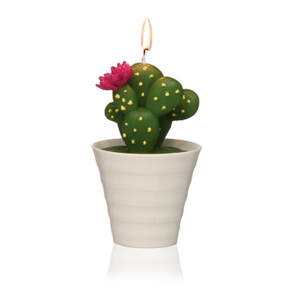 Dekoratívna sviečka v tvare kaktusu Versa Cactus Paol