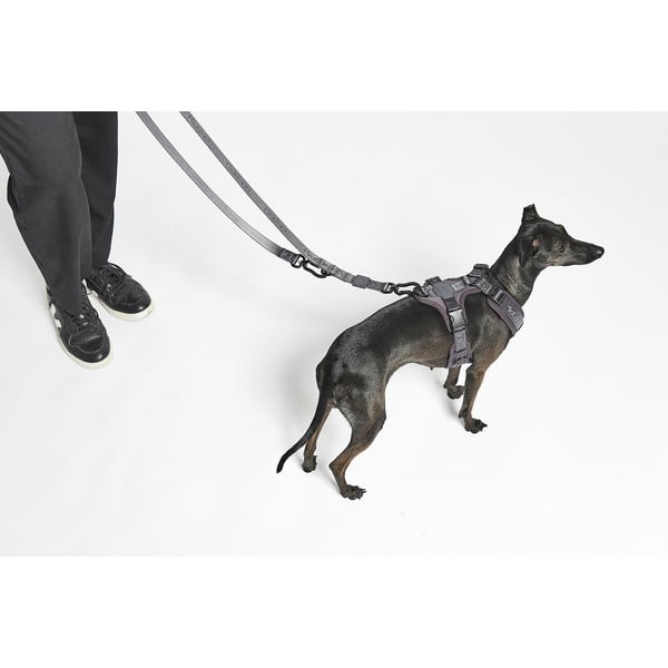 Béžová prepínacia vôdzka dĺžka 200 cm Modena Greige 20 mm – MiaCara-image-1