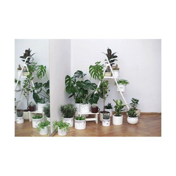 Kvetináč FOR.REST Strips, 11 cm-image-1