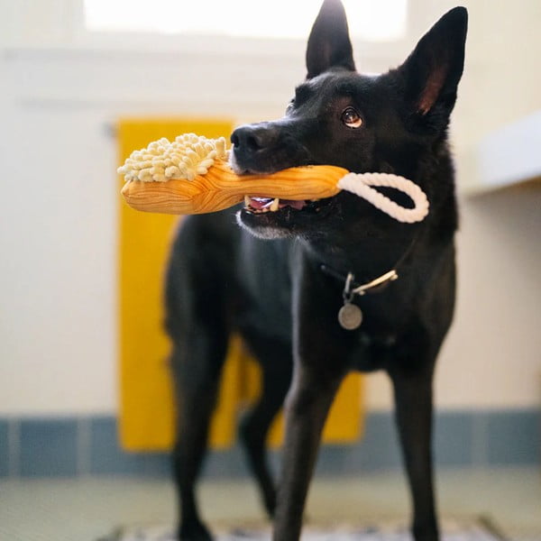 Hračka pre psa Kefa – P.L.A.Y.-image-1