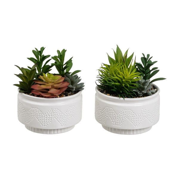 Umelé rastliny v súprave 2 ks (výška 19 cm) Cactus – Casa Selección