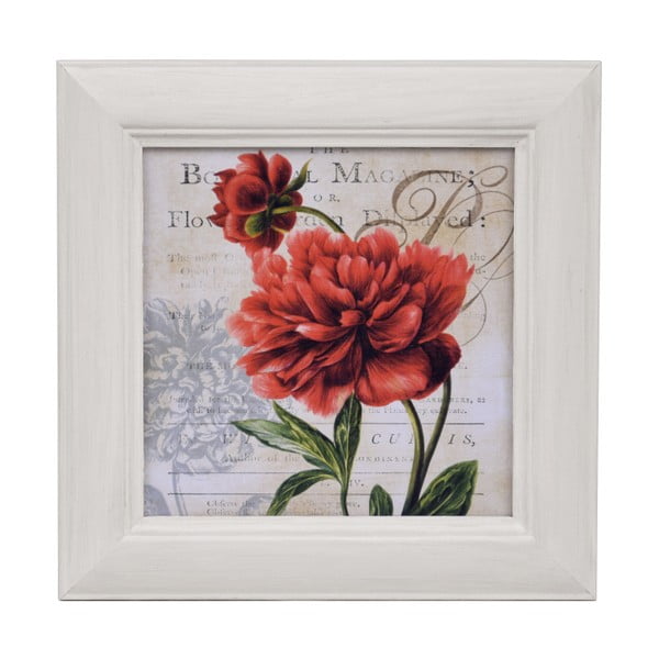 Obraz Ego Dekor Tulipán červený B, 28 x 28 cm