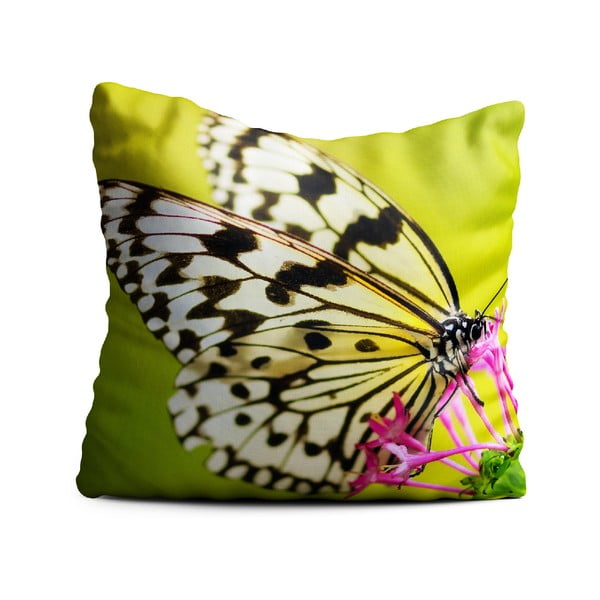 Zelený polštář Oyo home Butterfly, 40 x 40 cm