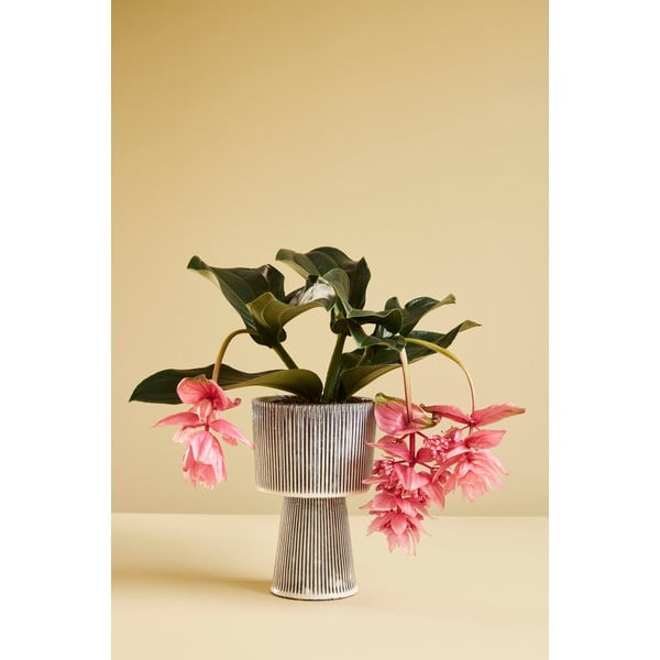 Súprava 2 čierno-béžových keramických kvetináčov Hübsch Pot-image-4