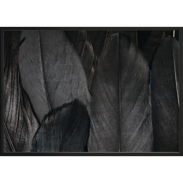 Plagát DecoKing Feathers Black, 50 x 40 cm