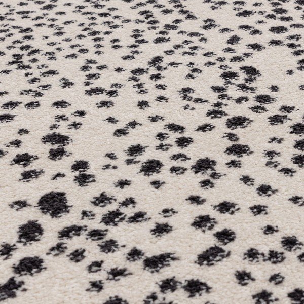 Čierno-biely koberec 160x230 cm Muse – Asiatic Carpets-image-2