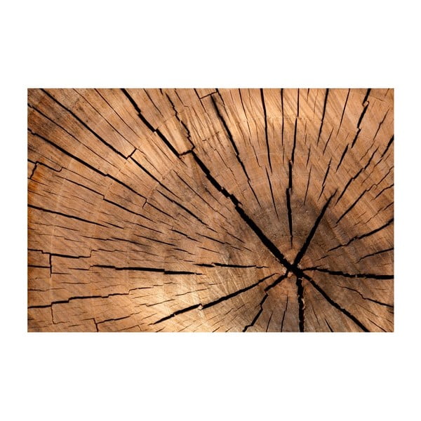 Multifunkčná podložka Papillon Wood