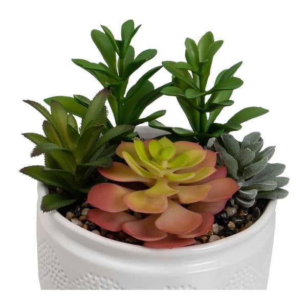 Umelé rastliny v súprave 2 ks (výška 19 cm) Cactus – Casa Selección-image-3