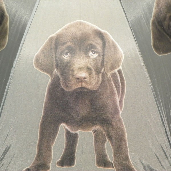Dáždnik Mars&More Labrador Chocolate-image-2