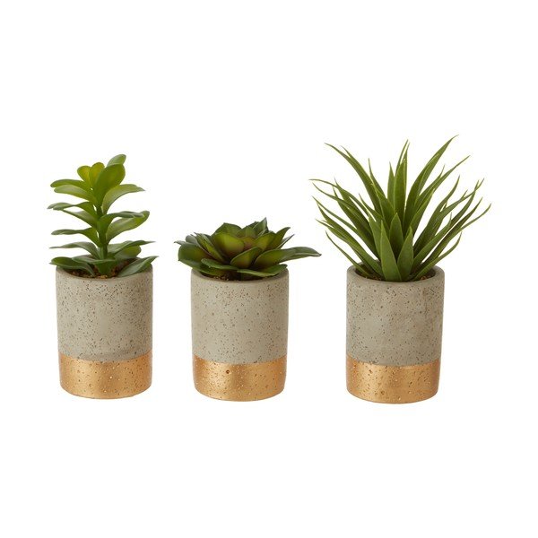 Sada 3 sukulentov v keramickom kvetináči Premier Housewares Fiori-image-1