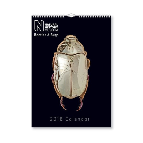 Nástenný kalendár na rok 2018 Portico Designs Natural History Museum Beetles & Bugs, A3

