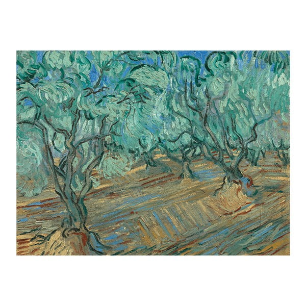 Obraz Vincenta van Gogha - Olive Grove, 50x30 cm