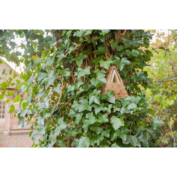 Drevená vtáčia búdka Camouflage – Esschert Design-image-1