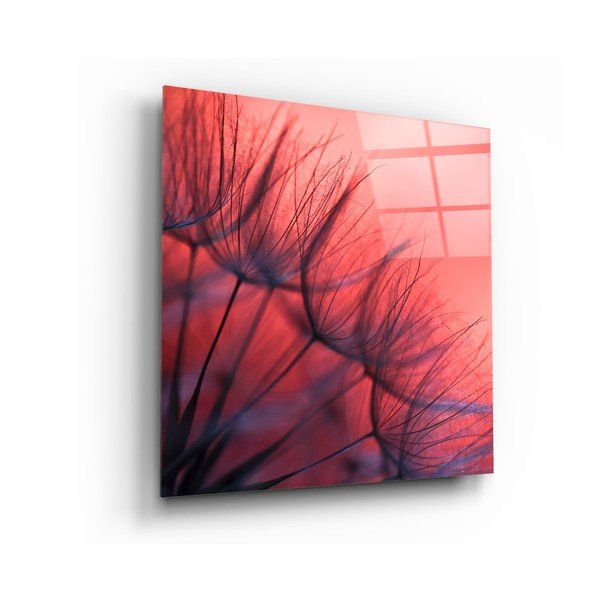Sklenený obraz Insigne Red Dandelion, 40 x 40 cm