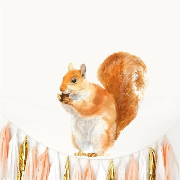 Nástenná znovu snímateľná samolepka Chocovenyl Squirrel