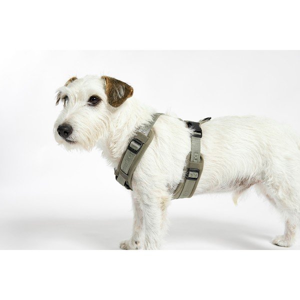 Zelený postroj veľkosť L dĺžka 42 cm Modena Grolive L – MiaCara-image-3