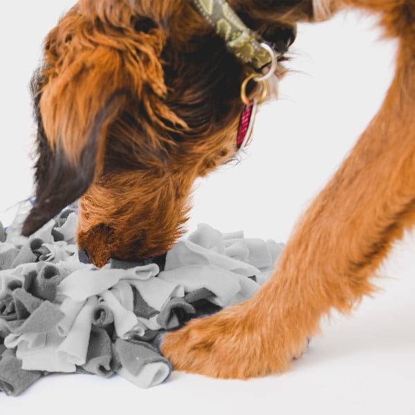 Čuchacia dečka – Love Story-image-1