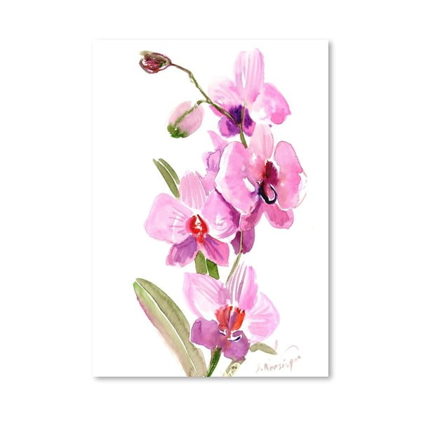 Plagát Pink Orchids od Suren Nersisyan