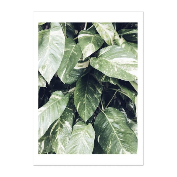 Plagát HF Living Botanic Palms, 50 × 70 cm