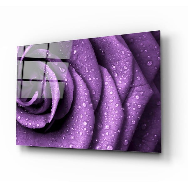 Sklenený obraz Insigne Purple Rose
