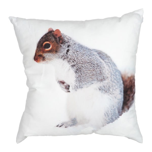 Vankúš Squirrel White, 45x45 cm