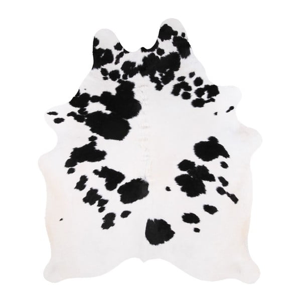 Čierno-biela pravá hovädzia koža Arctic Fur Nero Creamy, 182 × 161 cm