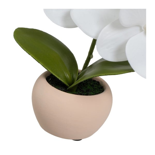 Umelé rastliny v súprave 3 ks (výška 15 cm) Orchid – Casa Selección-image-4