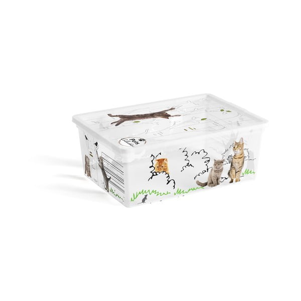 Biely plastový úložný box s vekom 37x26x15 cm C Box Style – KIS