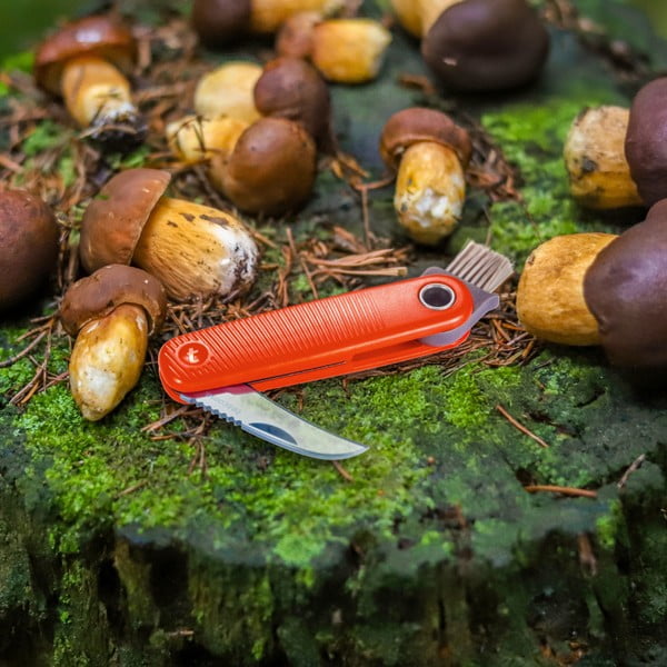 Vreckový nožík Move – Tescoma-image-1