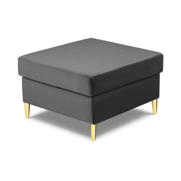 Svetlosivá zamatová podnožka Kyoto – Cosmopolitan Design-image-2