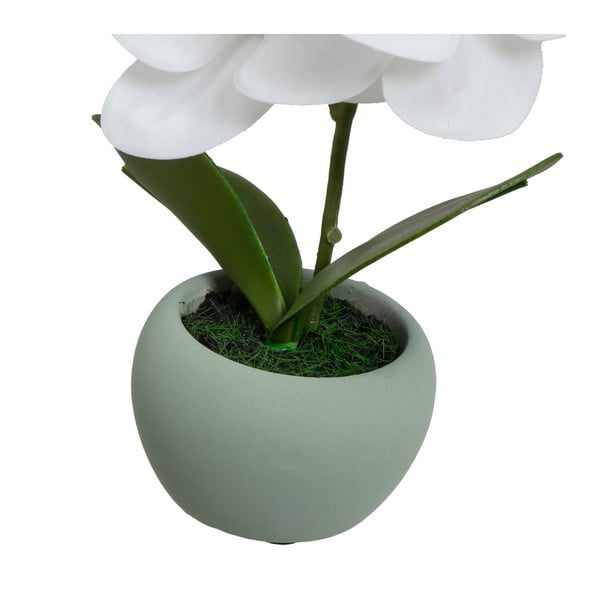 Umelé rastliny v súprave 3 ks (výška 15 cm) Orchid – Casa Selección-image-3