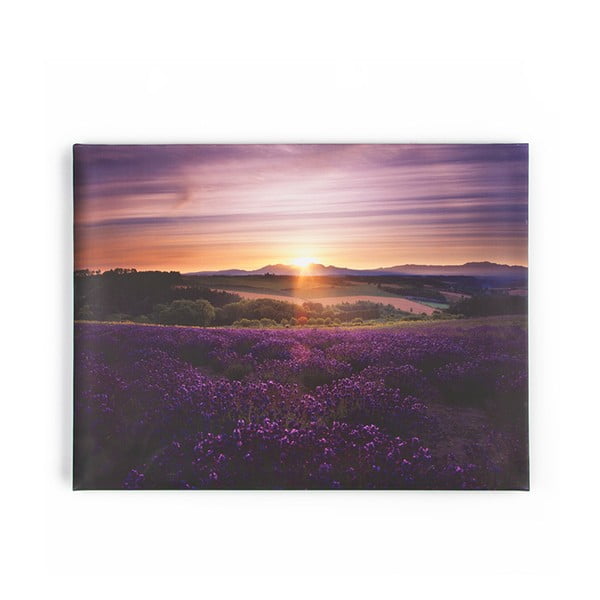 Obraz Graham & Brown Lavendar Sunset, 80 × 60 cm