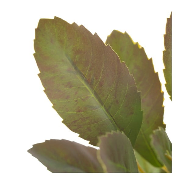 Umelá vetvička (výška 37 cm) Lemon Tree – Ixia-image-2