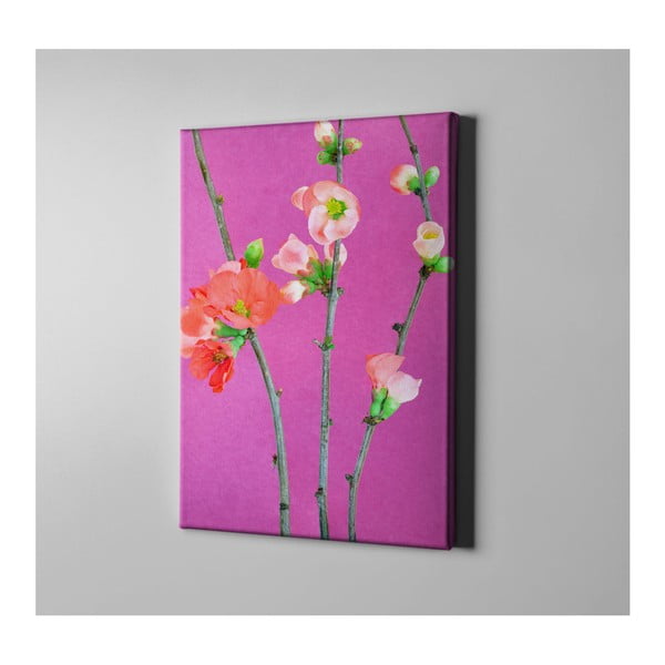 Obraz Roses, 60 × 40 cm