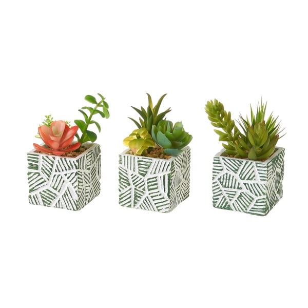 Umelé rastliny v súprave 3 ks (výška  12 cm) Cactus – Casa Selección