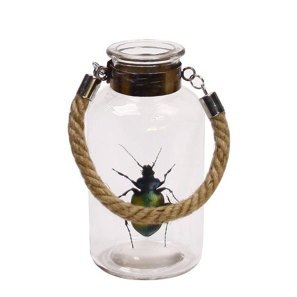 Lampáš Bug, 20 cm