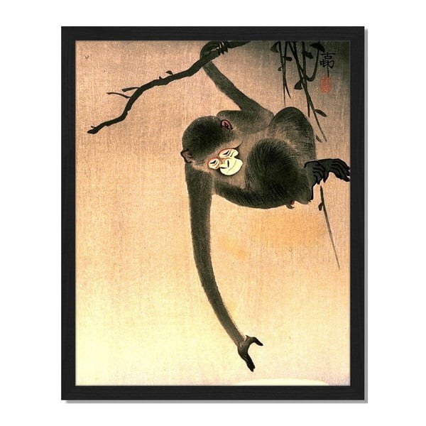 Obraz v ráme Liv Corday Asian Tree Monkey, 40 x 50 cm