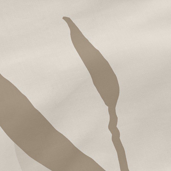 Bavlnené obliečky na vankúše v súprave 2 ks 50x75 cm Maple – Blanc-image-1