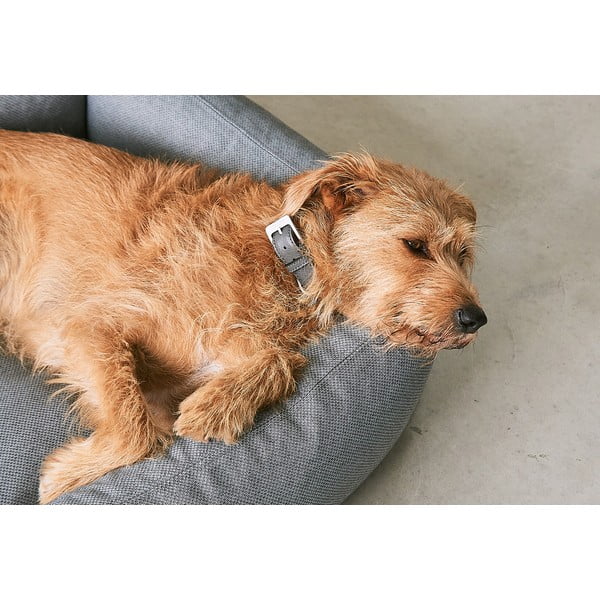 Hnedý pelech pre psa 55x70 cm Mare Kelp S – MiaCara-image-3
