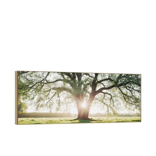 Obraz 150x60 cm Tree in the Sun-image-2