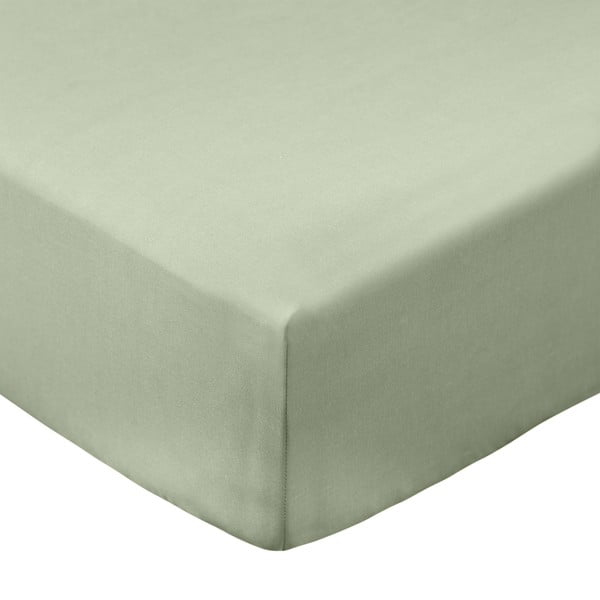 Zelená napínacia plachta z bavlneného perkálu 90x190 cm Cotton Percale – Bianca