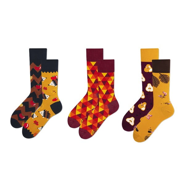 Set ponožiek v darčekovom balení Many Mornings Autumn, veľ. 43–46