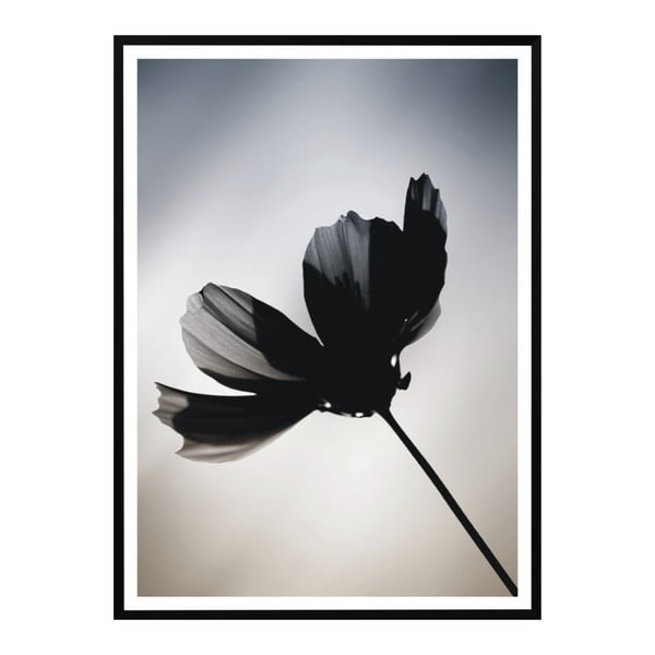 Plagát Nord & Co Flower, 30 x 40 cm