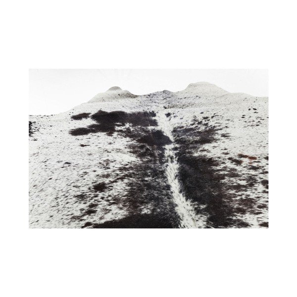 Bielo-hnedý koberec z hovädzej kože Kare Design Hide, 190 x 150 cm-image-3