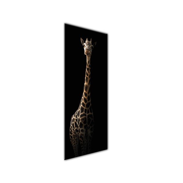 Obraz Styler Glas Animals Gira, 50 × 125 cm-image-1
