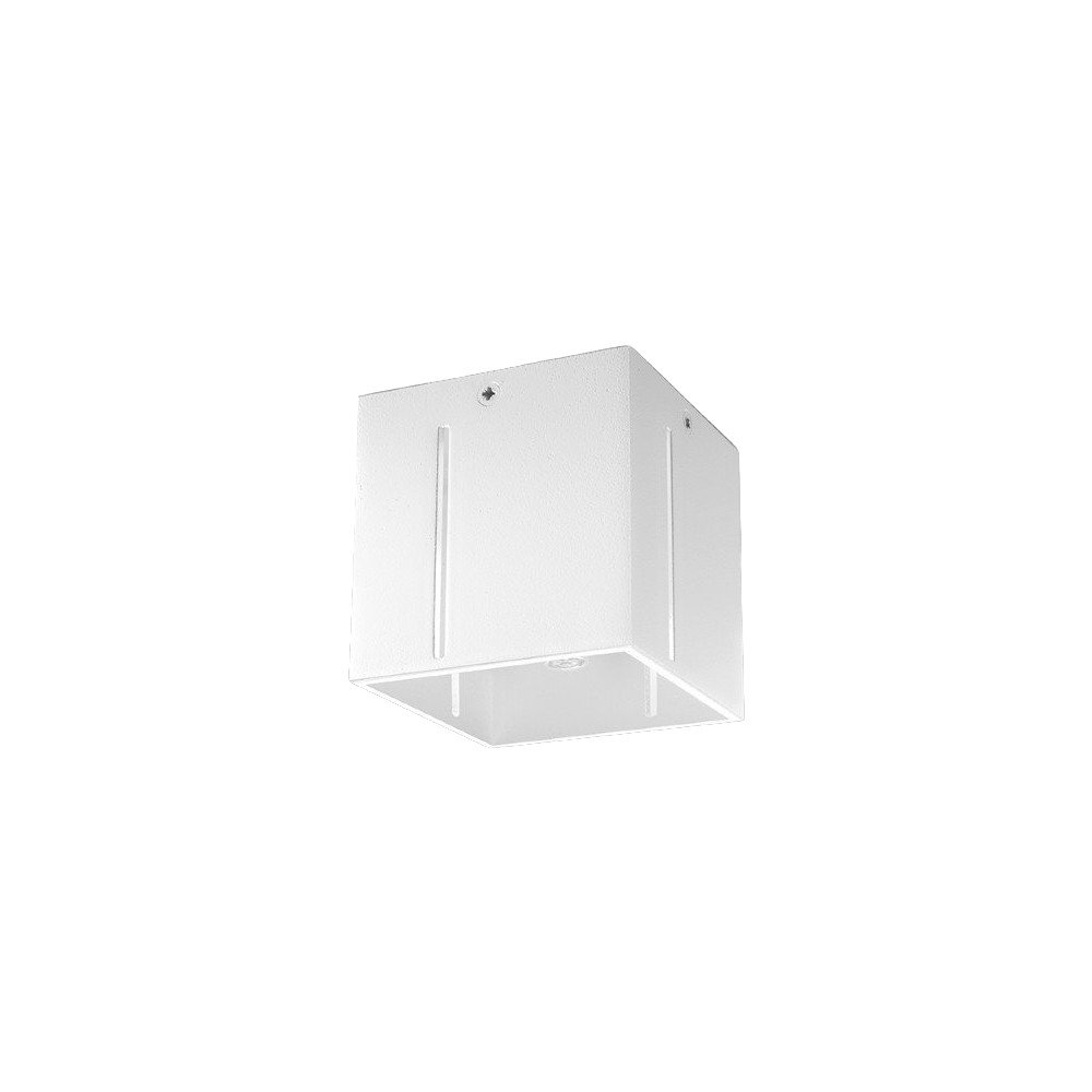 E-shop Biele stropné svietidlo s kovovým tienidlom 10x10 cm Pax – Sollux