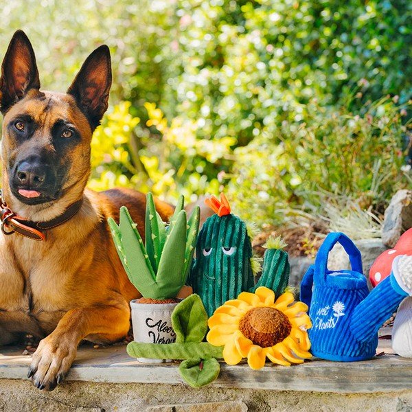 Darčeková súprava Blooming Buddies 5 ks – P.L.A.Y.-image-1