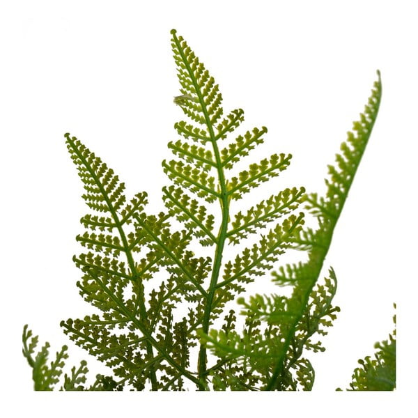 Umelá papraď (výška 45 cm) – Casa Selección-image-2