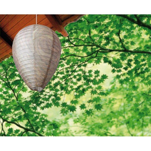 Papierový odpudzovač ôs – Esschert Design-image-1